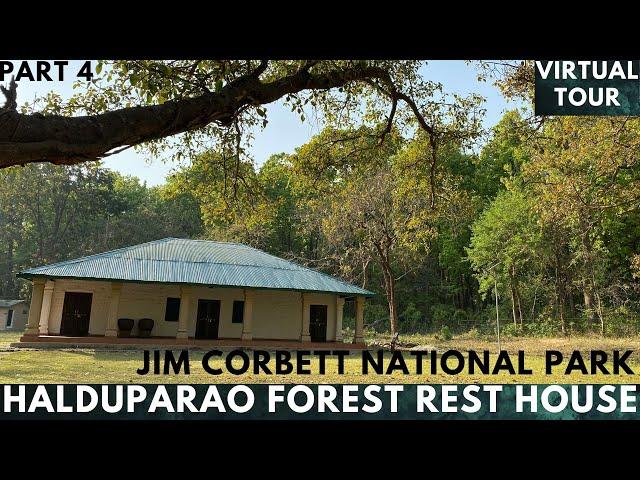 Halduparao Forest Rest House Tour || Jim Corbett National Park || Part 4