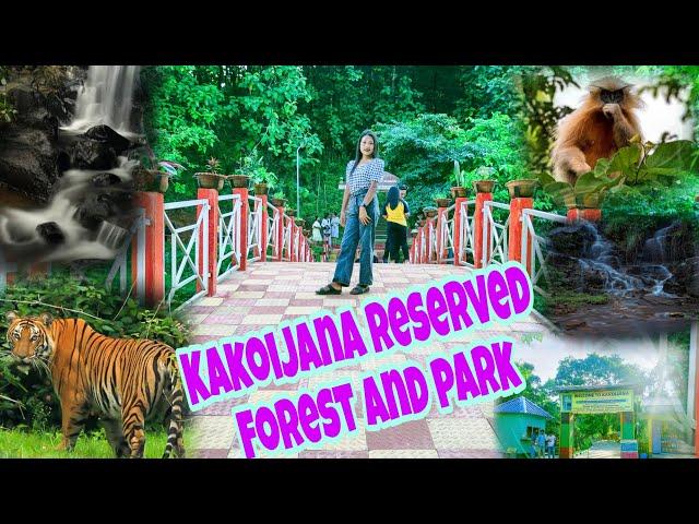 The natural beuty of Kakoijana reserved forest ,Bongaigaon( Assam)