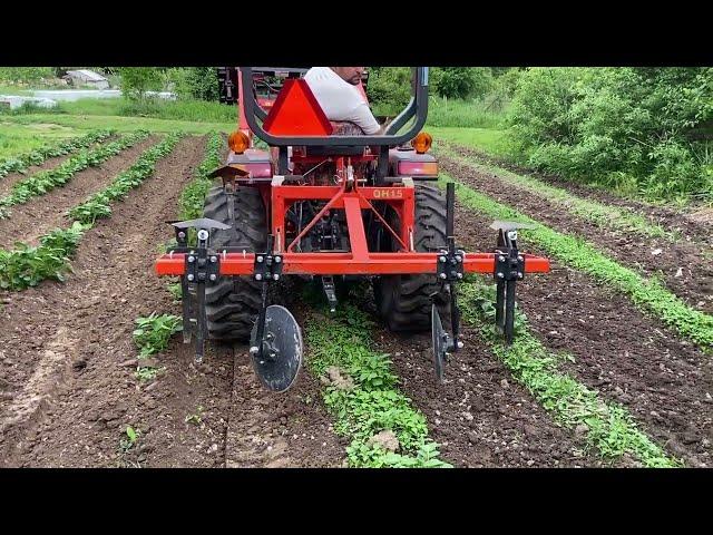 HILLING POTATOES | WHY? | The Benefits | Grow Your Own Food | Disc Hiller