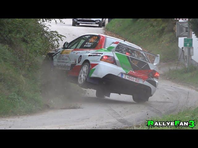 Herbst Rallye Dobersberg 2024 | Flat out | Mistakes | Neuville Mistake