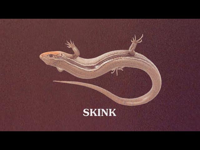 [YTP] Skink