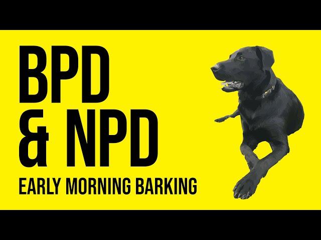 An Introduction to BPD & NPD | BPD & NPD | Borderline & Narcissistic Personality Disorder