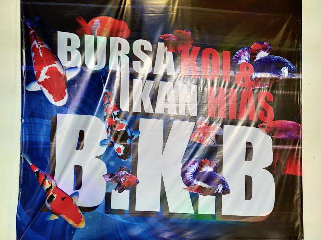 LAUNCHING BURSA KOI BLITAR