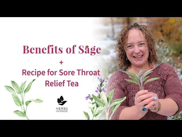 Benefits of Sage Herb | Sage Tea Benefits + Sore Throat Relief Recipe