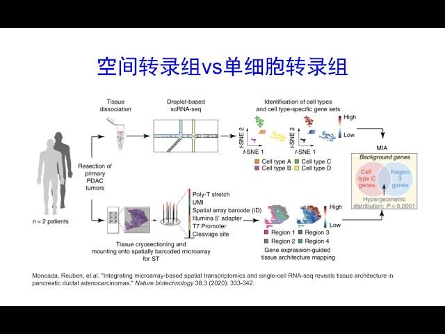 空间转录组和单细胞转录组区别和选择