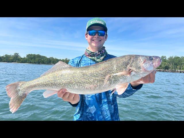 Lake Erie Walleye (Memorial Day Weekend 2024)