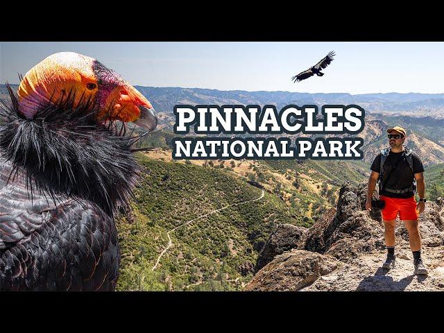 Exploring Pinnacles National Park: Caves, Trails, and Condors! NP 14/63