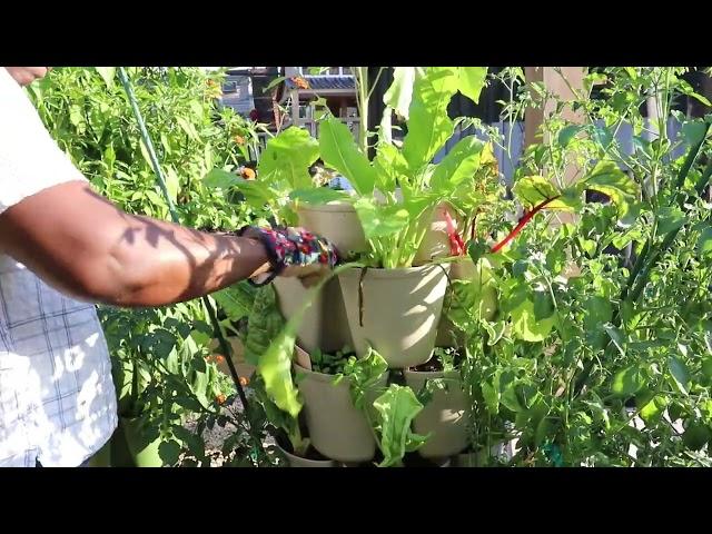 Reencle Composter Compost   In the Garden