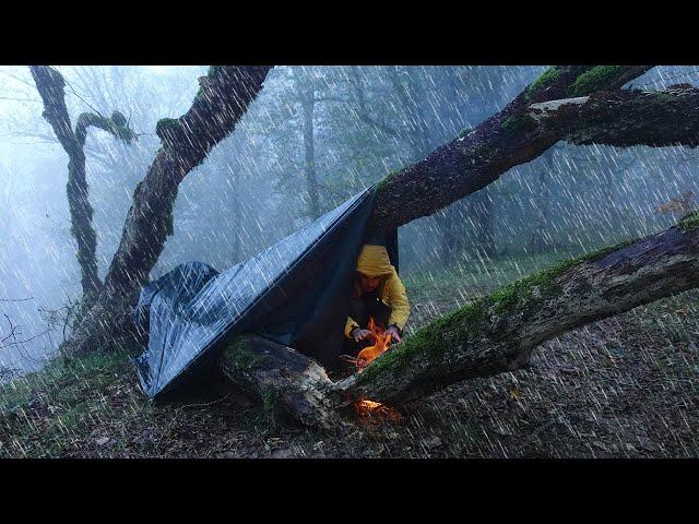 Surviving 2 DAYS Solo Camping in the Rain and Fog