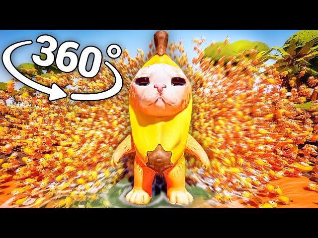 BANANA CAT 50,000 TIMES! 360° video | VR / 8K | ( Banana Cat Meme )