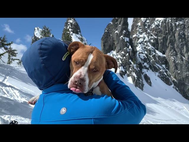 Snoqualmie Pass Backcountry - Pineapple Pass