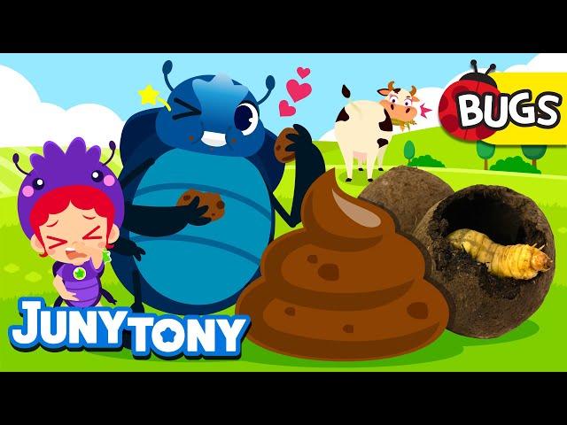 The Dung Beetle Song | Why Do Dung Beetles Like Dung? | Insect Songs for Kids | JunyTony