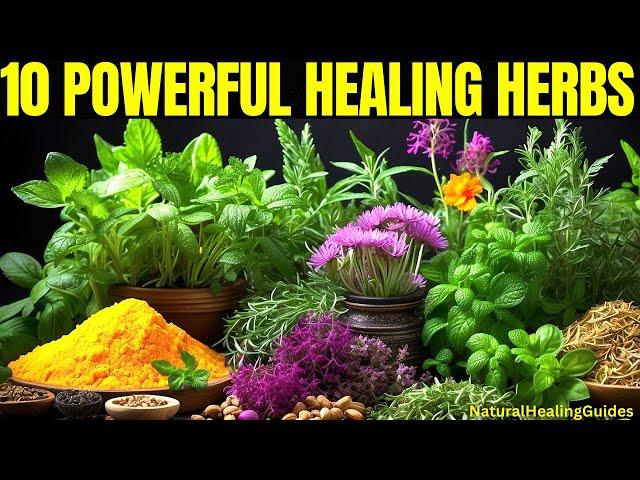 Top 10 MEDICINAL HERBS for Healing & Disease Prevention: NATURE'S Best Kept SECRETS! 