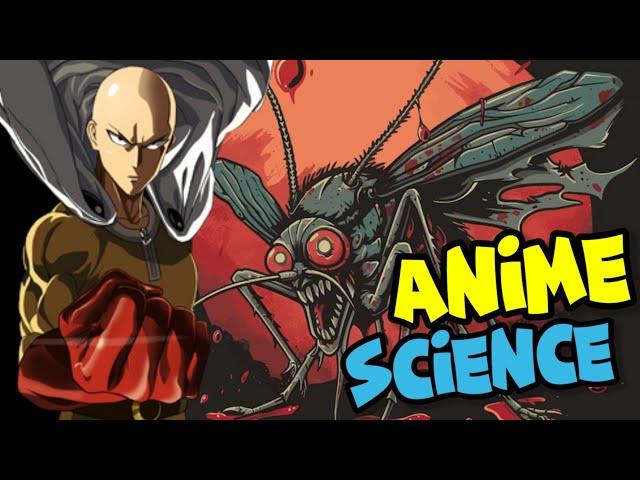 The Science of Saitama VS Mosquito  One Punch Man Anime Episode 2 Explained