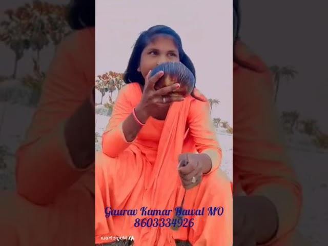 20 May 2025 #Gaurav#Kumar#Bawal#