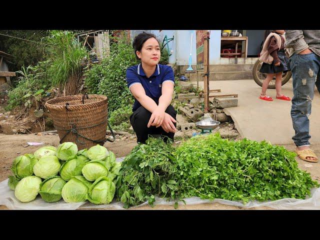 Cabbage Harvest & Coriander Go market sell | Cook pig food | Life in farm.