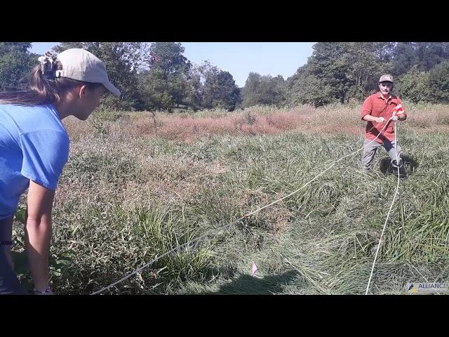 Riparian Restoration 101: Buffer Layout and Flagging