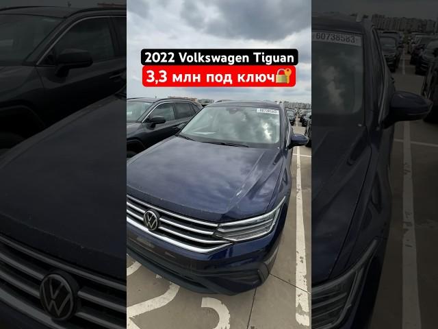 Цены на авторынке в Грузии 2024 #autodesk #автоподключ #tiguan #autopapa