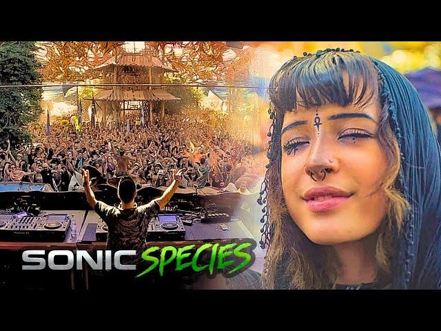 Sonic Species - Ozora Festival 2024 [Full Set Movie]