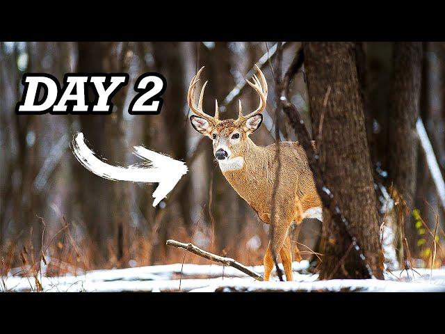 How To Find BIG Bucks | WITHOUT SCOUTING!