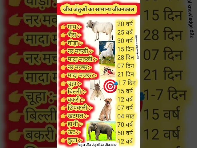 जीव जंतुओं का सामान्य जीवनकाल | गाय,घोड़ा,बकरी,बिल्ली जीवनकाल | #gk #upsc #viralvideo #ytshorts