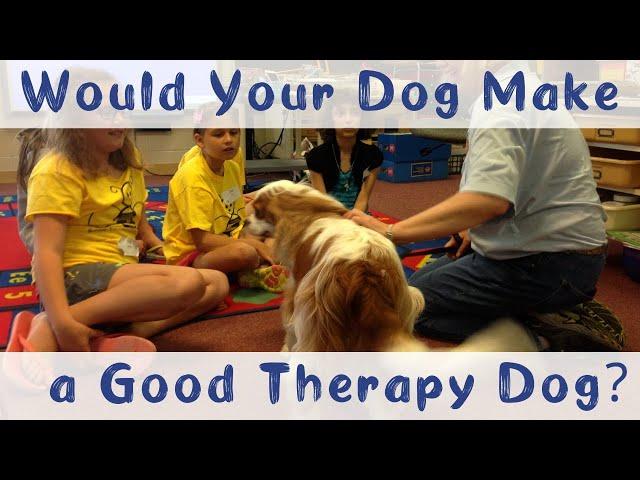 What Makes a Good Therapy Dog | Therapy Dog Training and Tips