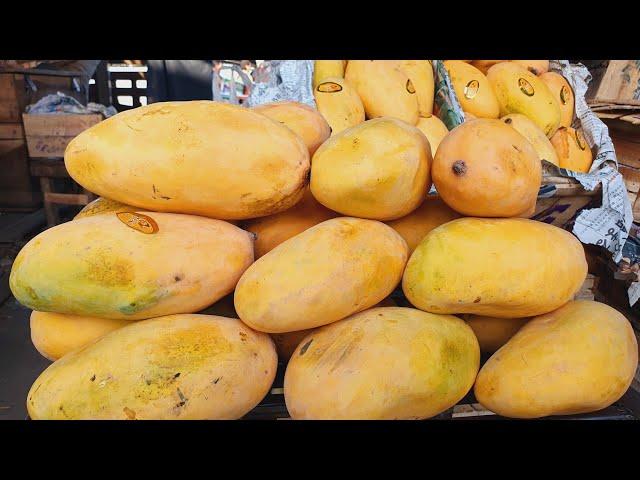 Pakistani best export Quality mango | Mango wholesale market Islamabad | daily fruit mandi update |