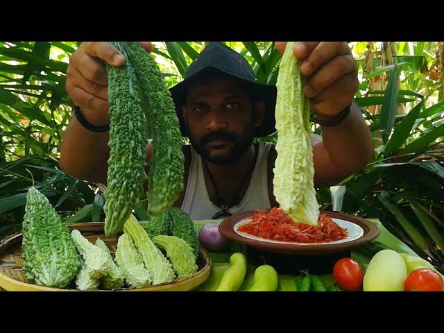 Raw Bitter gourd eating with chili/ Food Eating Show [ASMR]……