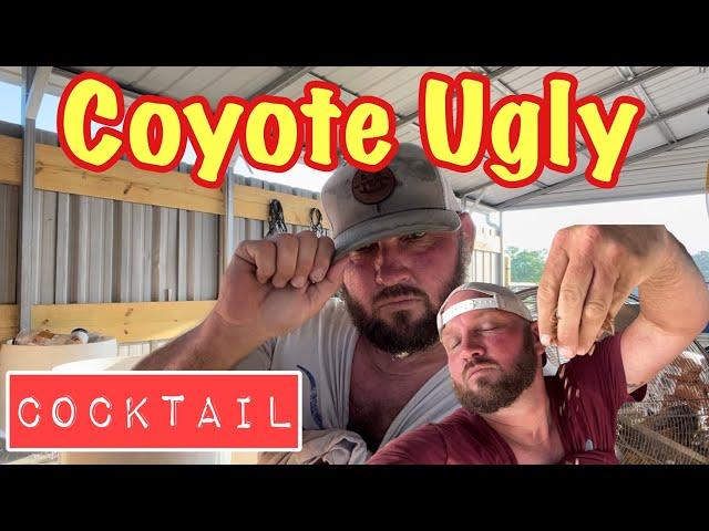 Lester’s Coyote Cocktail Combo!