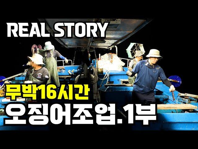 유튜버최초!!16시간무박2일.속초오징어조업배에서 직접 밤새 선원들과 같이 조업하다.1부#오징어배#오징어#속초맛집