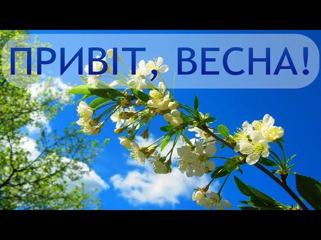 Привіт, весна! Красиве музичне відео-МРІЯ. Щасливої,сонячної весни!