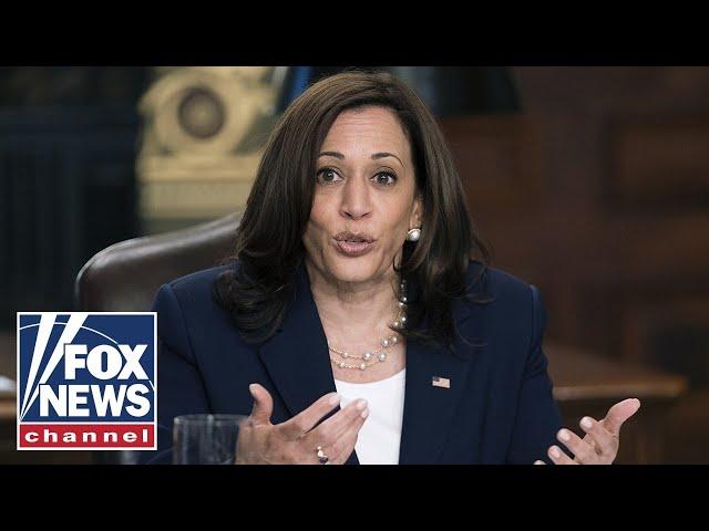 Media, Democrats claim Kamala Harris was never 'border czar'