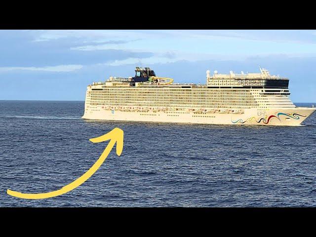 Man Overboard on Cruise Ship, Passenger Arrested for $100,000