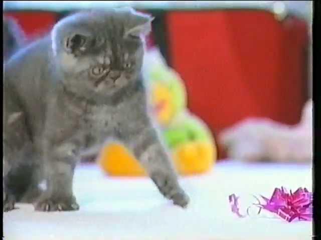 ТВК. Заставка программы "Новое утро". 2004-2006