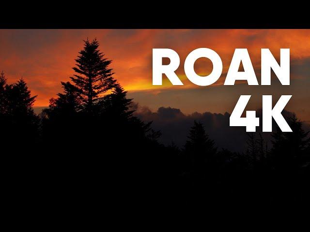 Cinematic Silent Backpacking - Roan Mountain 4K - TN/NC