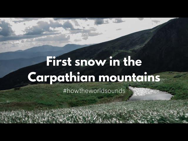 Sound of the first snow in the Carpathian mountains - Mariia Yaremak