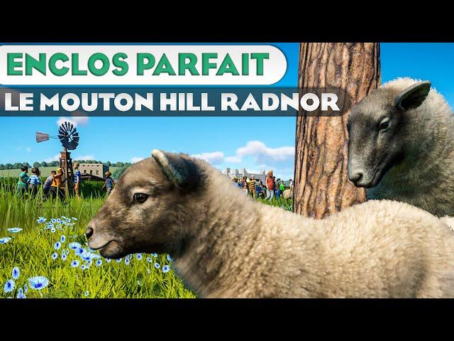 Habitat du Mouton Hill Radnor | LES ENCLOS PARFAITS : ÉPISODE 147 | PLANET ZOO