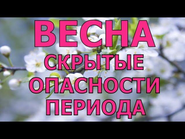 Весна - скрытые опасности переходного периода для здоровья / Елена Бахтина