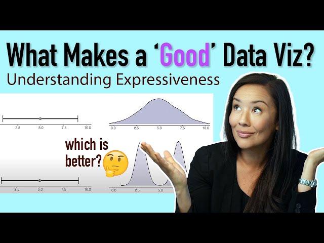 What makes a "good" dat visualization?: Expressiveness in Data Visualization Explained