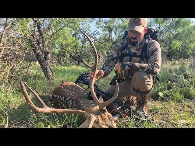 ARCHERY HUNTING AXIS DEER IN TEXAS with Ben O'Brien & Ryan Callaghan - Day 1