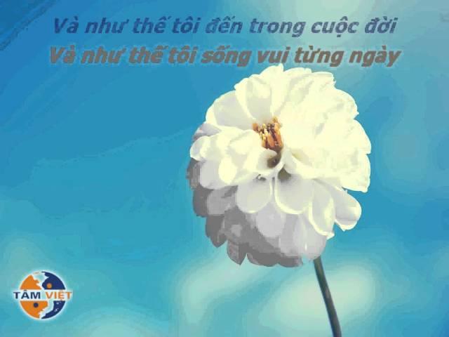 Mỗi ngày tôi chọn 1 niềm vui Vietsub Lyrics