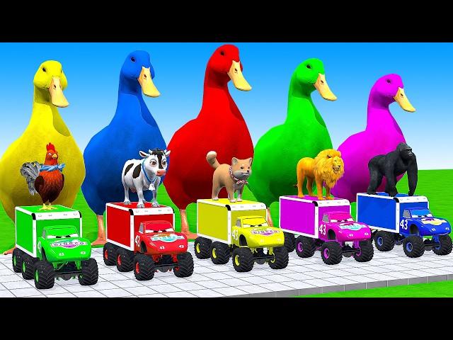 5 Giant Duck Cartoon, Cow, Elephant, Tiger, Paint Wild Animals Crossing Fountain Animation