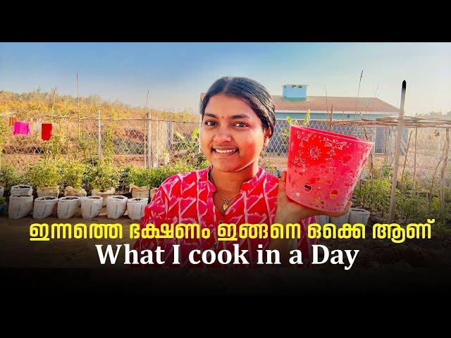 what I cook in a day | daily vlog| family vlog| #lifeofarunsumi