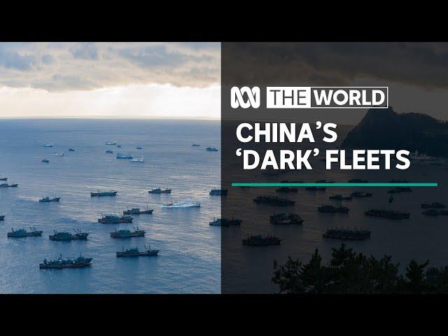 How China's 'dark' fleets are plundering the world's oceans