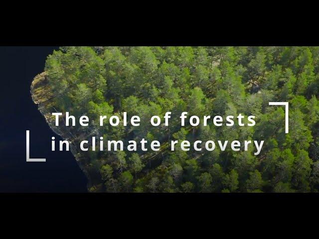 Forests and Climate Change: The Role of Forests in Climate Recovery