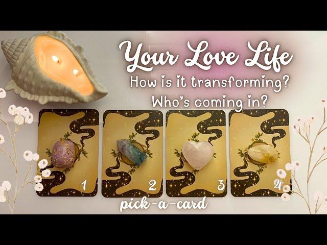 Pick A CardYour Love Life 2024: How’s It Transforming & Who’s Coming In Next? Psychic Reading