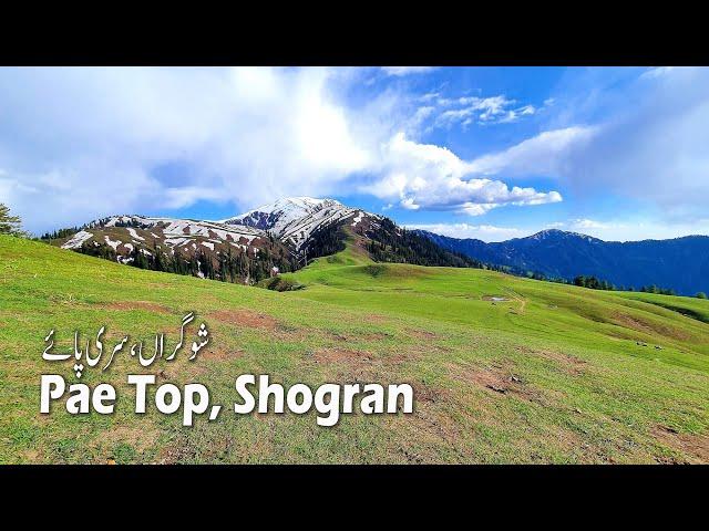 #Shogran | Siri Lake | #Paya Meadows | Kaghan Series | EP-02