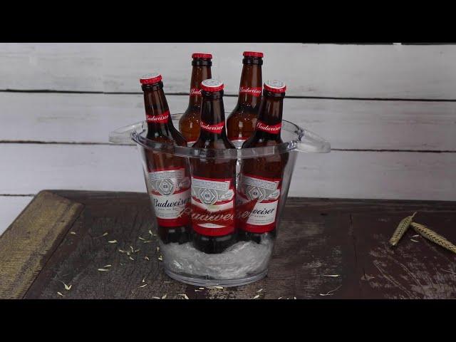 Kit Happy Hour Budweiser | Giuliana Flores