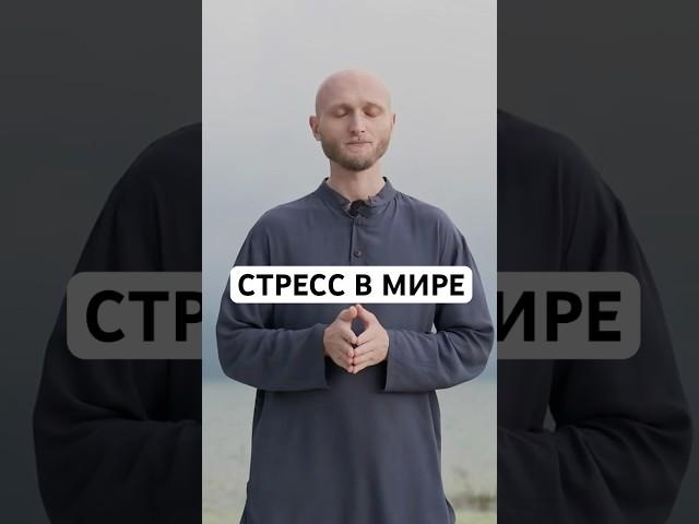 Подписывайтесь на канал #стресс #психология #саморазвитие #стрессоустойчивость #стрессменеджмент