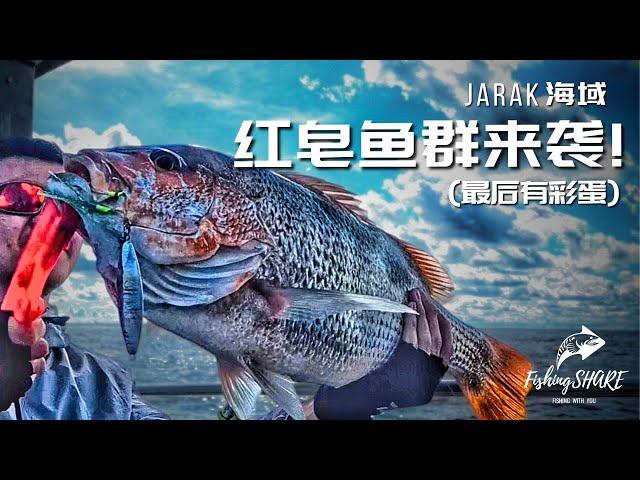 【FishingShare】JARAK海域红皂鱼群来袭！JIGGING海钓钓游记！(最后有彩蛋)ANG CHO Invasion in JARAK! (With a Surprise Ending!)